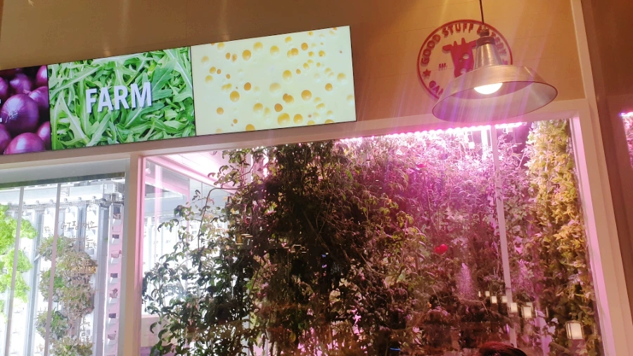 SE-a3d642e0-35a4-11ed-90ec-4d5fa7e8c4c6.jpg?type=w1