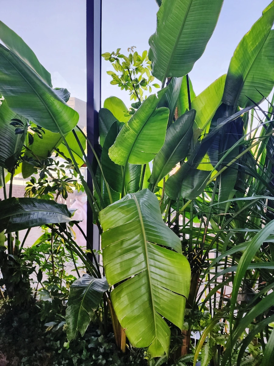 SE-ef98583f-ccec-11ed-9008-f98290aa6e98.jpg?type=w1