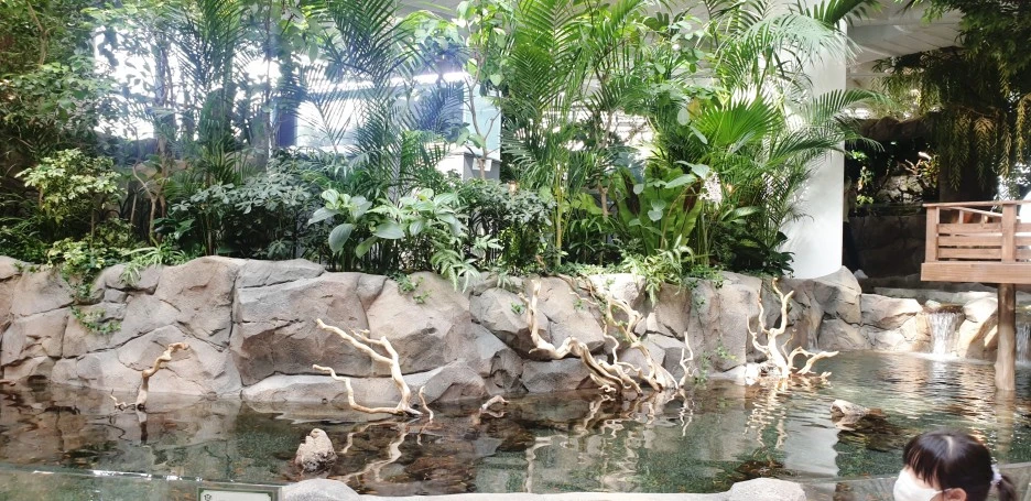 SE-e0fd7ea0-7e97-4a15-b170-f7f38e4b4eac.jpg?type=w1