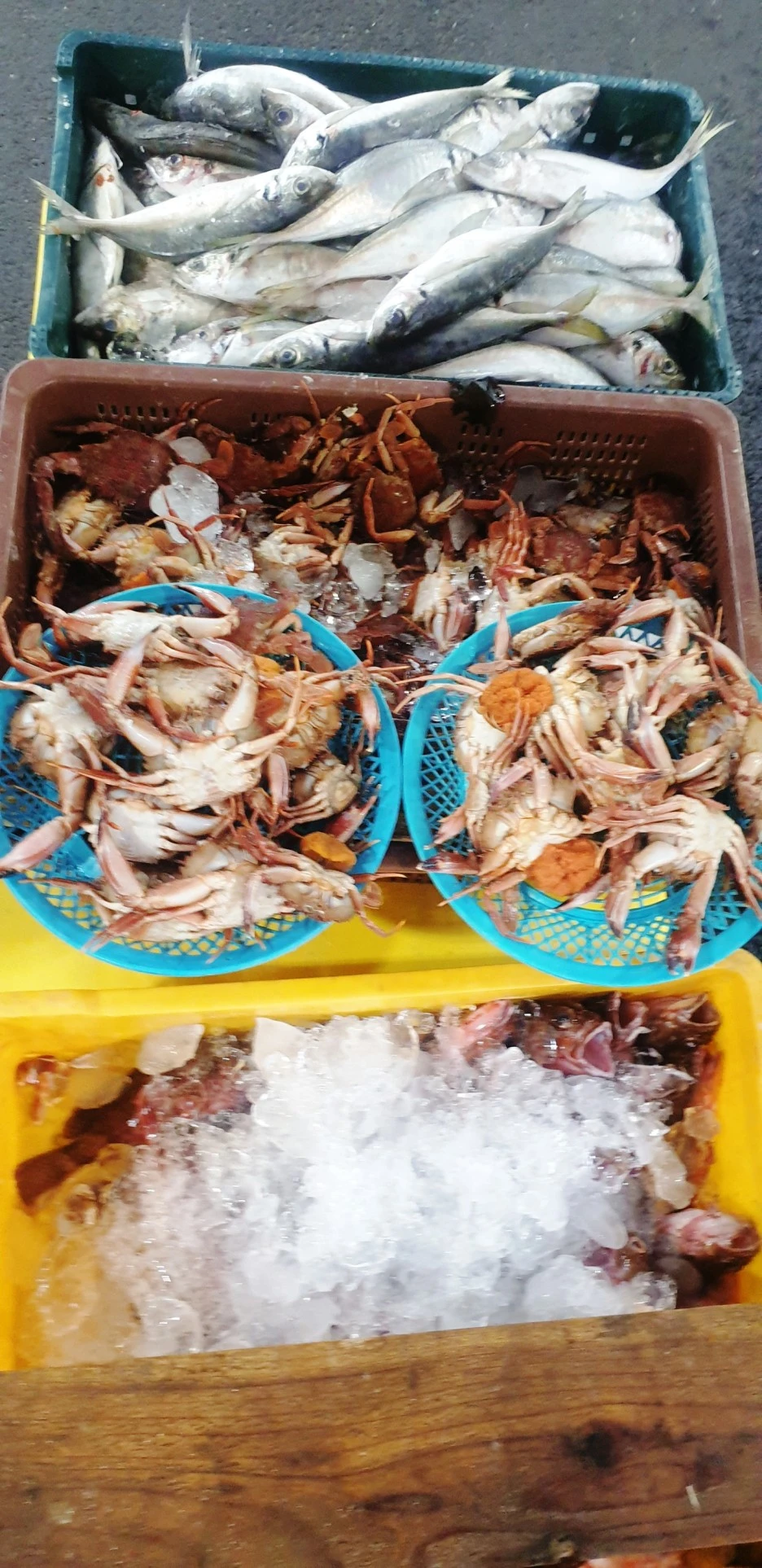 SE-610fe317-97ea-4142-949d-297ae5a62e1d.jpg?type=w1