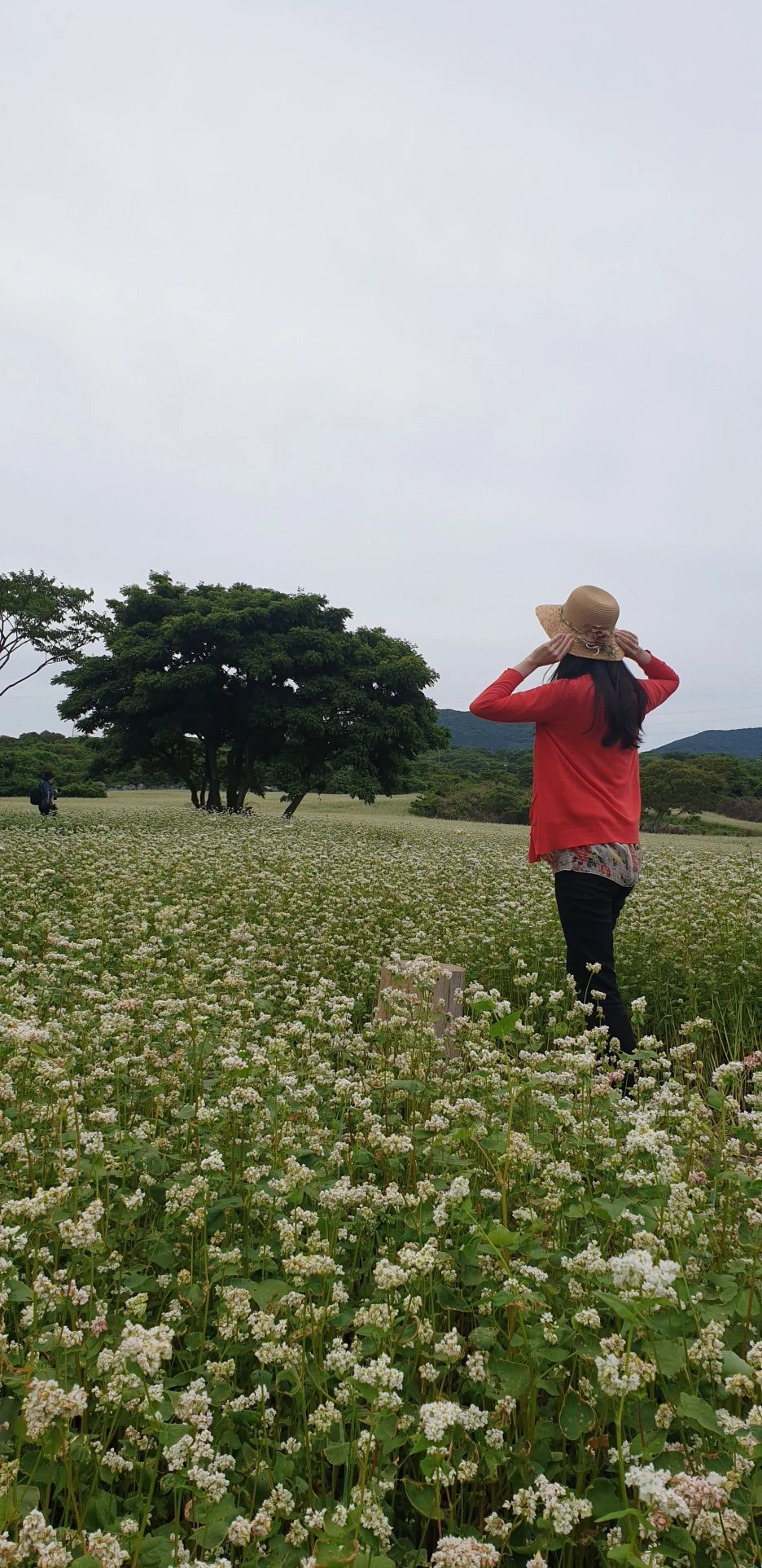 20220526_120512.jpg?type=w1