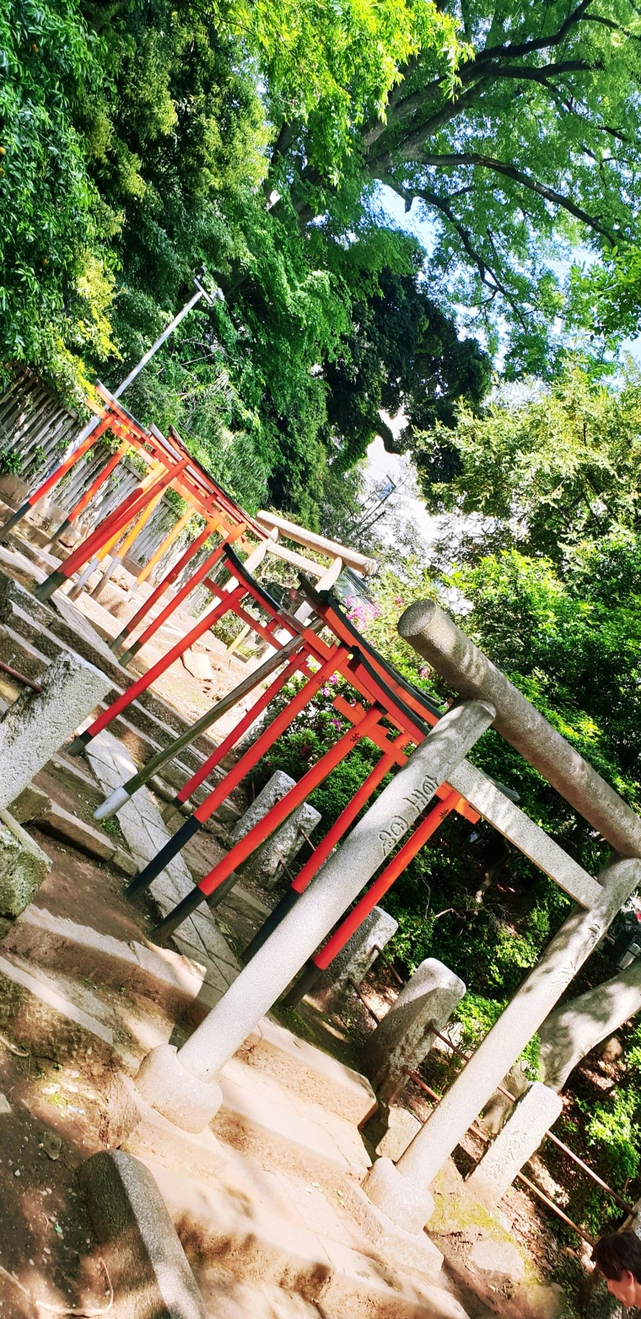 SE-e5d0475a-c1a3-4c7e-9db7-b7725f2600f1.jpg?type=w1