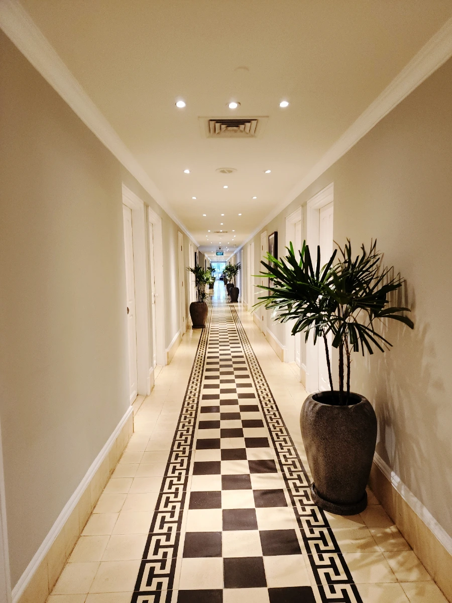 SE-9427ec05-3a7a-11ef-8dbb-c315da5cc977.jpg?type=w1