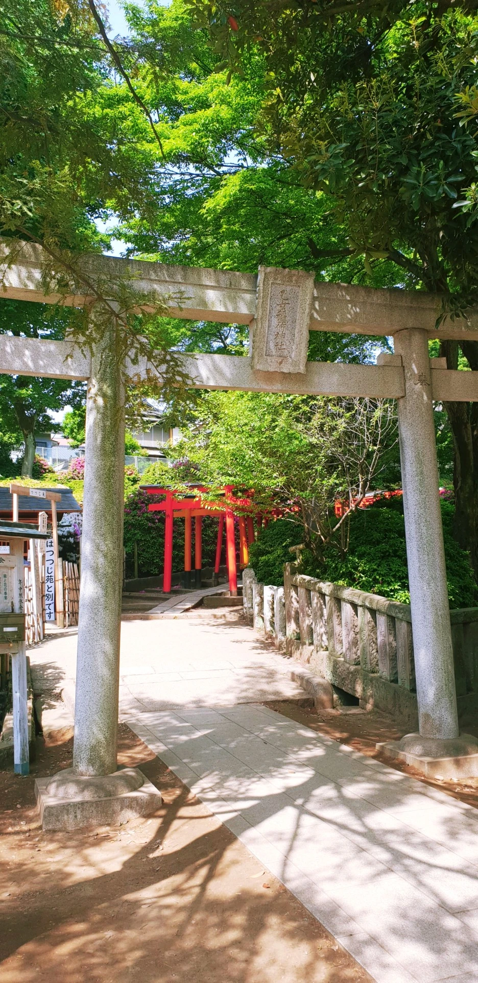 SE-327e6a13-e428-4e2e-a157-fa621b8bd6df.jpg?type=w1