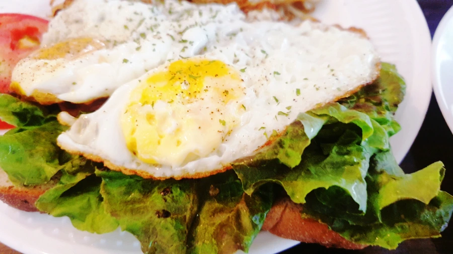 SE-1233a161-22b2-11ed-ae47-6df6dc712085.jpg?type=w1