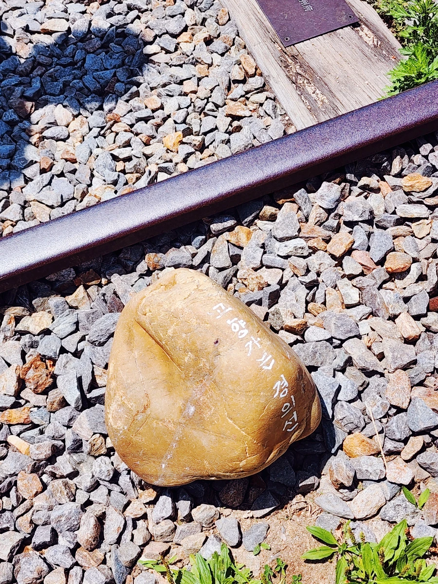 SE-41d78d20-0744-11ee-a1f8-3f366afd9f8d.jpg?type=w1