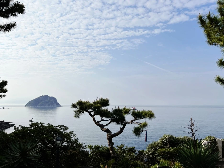 SE-f30de06c-ca94-4ee1-a889-1ad77426d7c7.jpg?type=w1