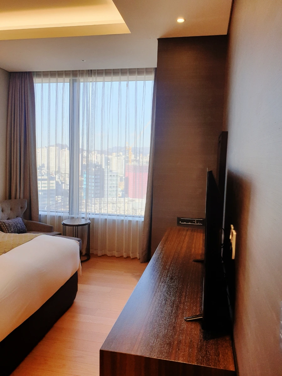 SE-b563404f-6537-11ec-be09-fbd797e3f6df.jpg?type=w1