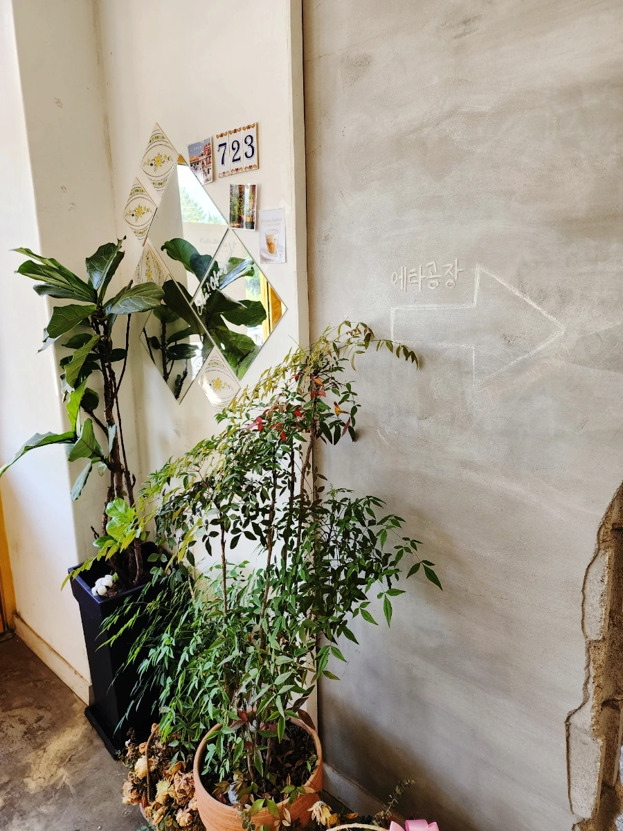 SE-7a5fd397-0a3c-11ee-a85d-3bb2dc592ccf.jpg?type=w1