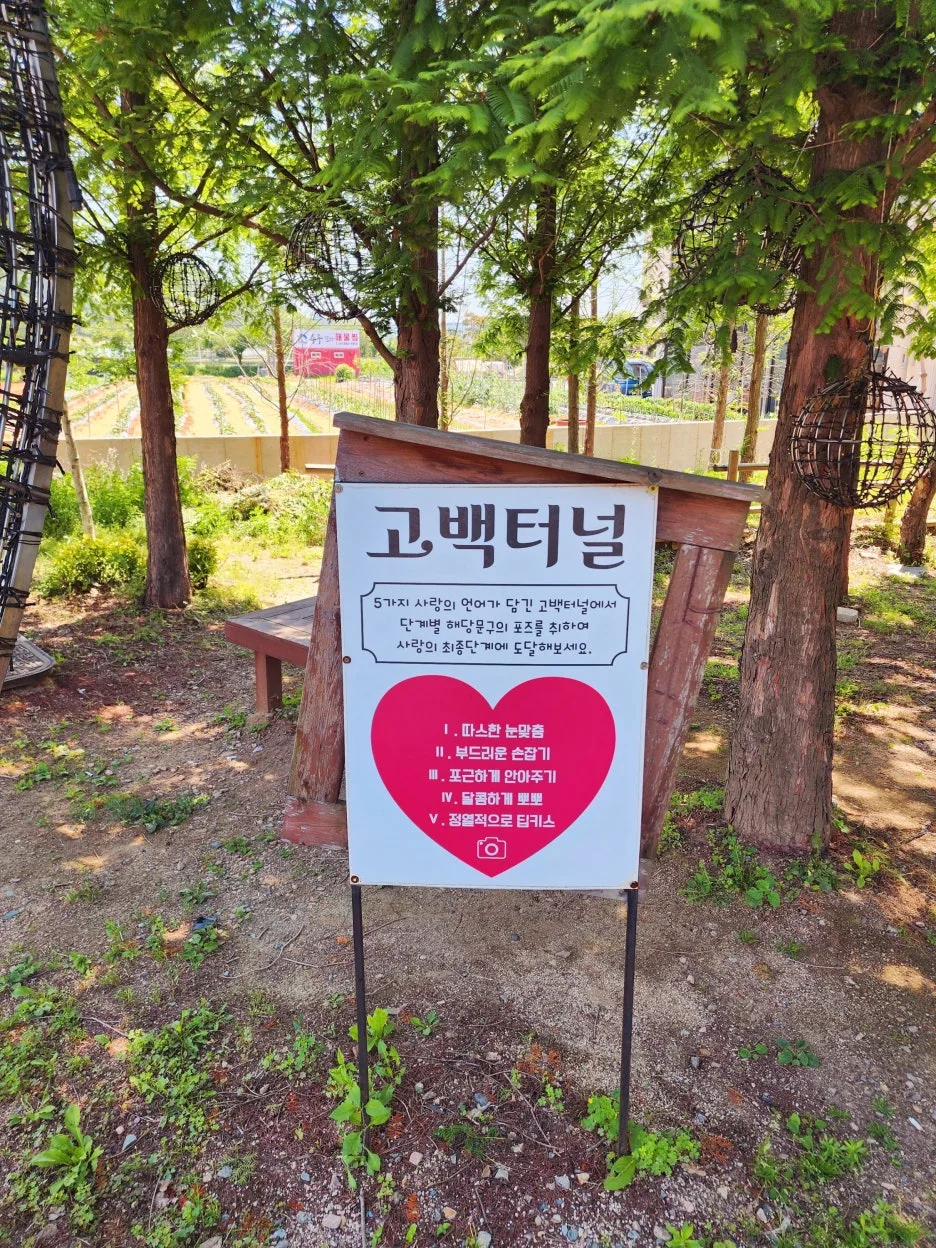 SE-e9830687-2be0-44c2-812d-742fa746778d.jpg?type=w1