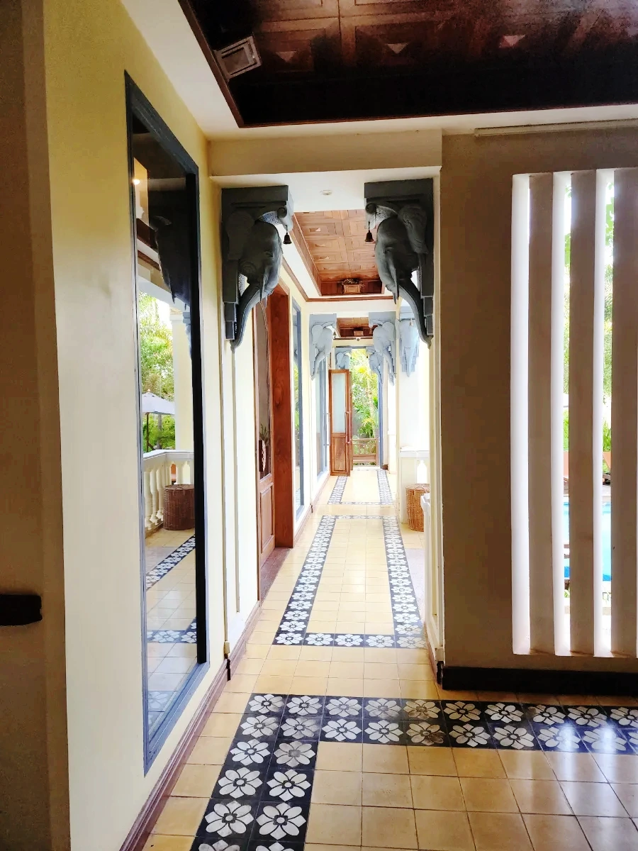 SE-55729050-3799-11ef-a4d8-b1cf71d5b887.jpg?type=w1