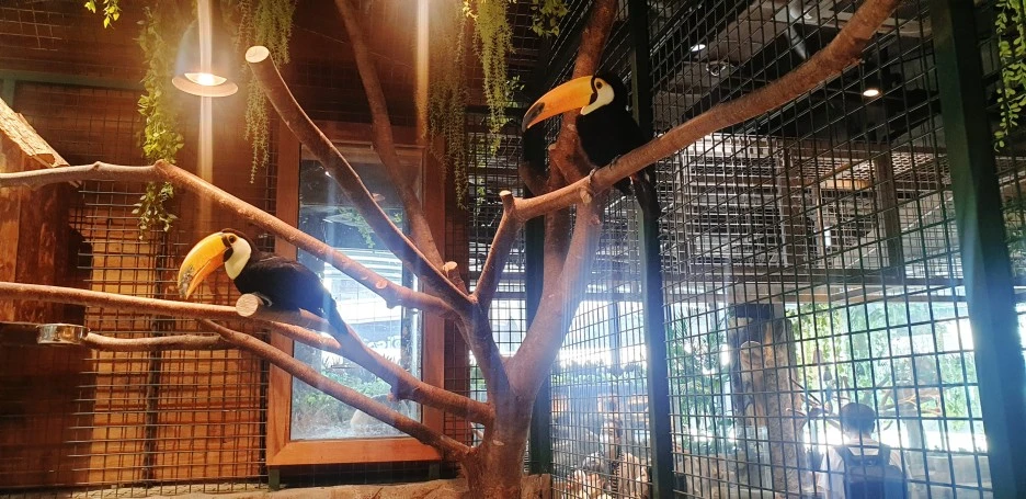 SE-38b7a1e4-ef35-4004-9d61-75dfa10d4d26.jpg?type=w1