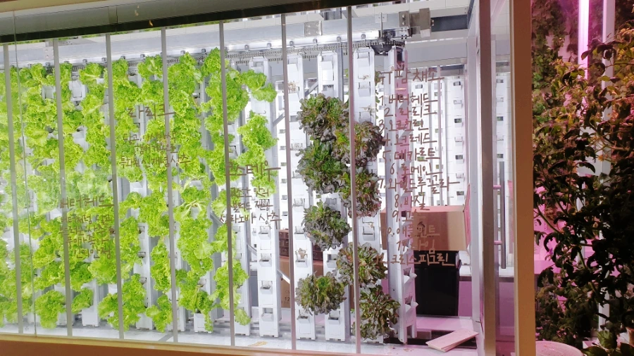 SE-a3ffeb00-35a4-11ed-90ec-af315cdd9c4a.jpg?type=w1