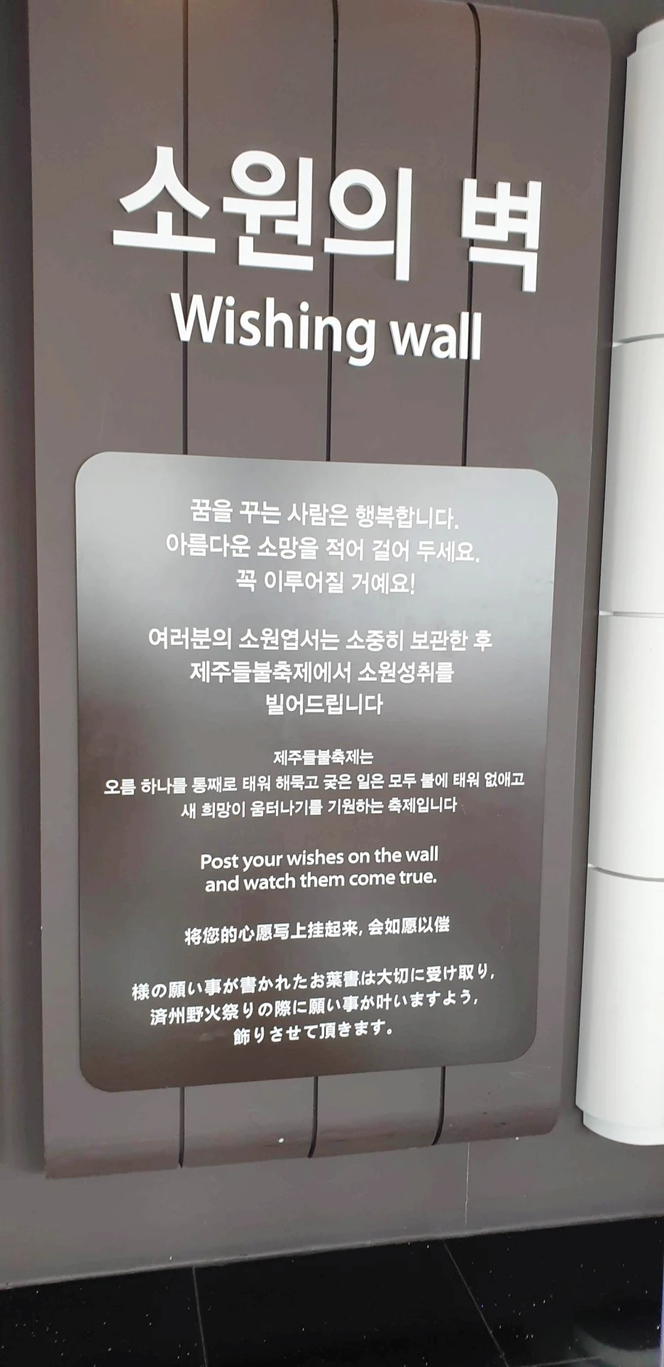 SE-8d043e8b-ce55-47c6-a8cb-3ace0fd431f2.jpg?type=w1