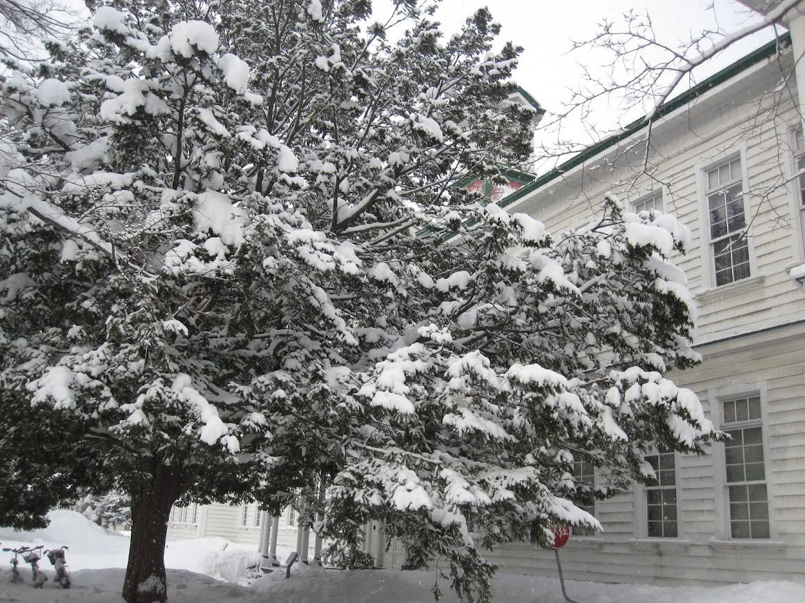 ibTXNAct8QXf6BB3I4PCEXc3CQCKRCV8A6s-RQpAIEtJ8NkJhRh_YhO_8OURO5ZnN2QnyB62fJMRJYWmEmlbz8PvIdc0TRiPnfTBrvJNGN_d8RnEK4UZIIPmTQU3FkUXIu6aVBZx9XS3XfHkCGXmrMxWkAFKGwBY-9N7JKwLouViFxQsqxR0hp8UmAp7t5SLcIsJT2yI9xkx9CG8LVlTurpsjsFssRrKdhNEaDIc0GJS8sTdj62bdB3TS4iNI71EJg3hsabmikjCg1Fu202SYgpbSLVDe4m3lHJonZbtp7lUqw4sdF0wpLHm4_eCe8eFoRhizJdWF3HJlbdL9D36__6gCwGYUEkP7UASQ2iws-NyeYThnmCKoQB6HW_MG5fZ9c2tHDsiItb2RJP0uz3cQmrzUip7-vg1cAGCw-f4MgCQ43R-XkiyeEpIUO65PyOt8eew1RSlqtpBMzE5kPOCO9zrUm8tmMjQychho05Z2o1EgCKenGJhxSpnOxL7-n-X-Bmt469JiuT9toUmVj7zPGqIhMODYEWxs5tXY8OaJSa0nECs-k-gXs5Y_ZZOtH2QdlyQ93hspxuQoryK3oBFeTBzd15CwAt5TwaNe1kdOrqWFPrJTJgFjXATpr1gC2-B4T_qwDo2Rcz7NwGN0qAXBvoxjW10lEwKjWW2WH6GZE_DLkocBu6eNeUROCIhWSH47Pg0E8nbEHHjn4469u_DROR8=w1156-h867-no?authuser=0