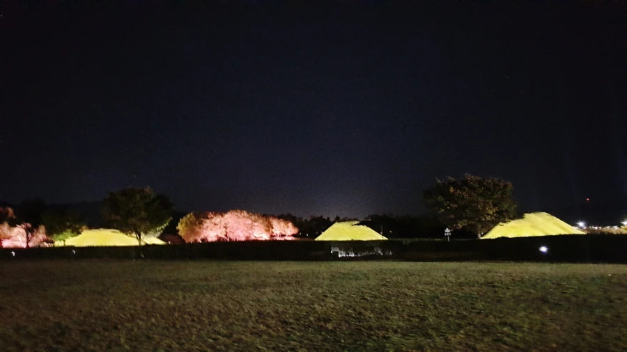 SE-3045e2f0-5022-11ed-a667-fd014252f04c.jpg?type=w1