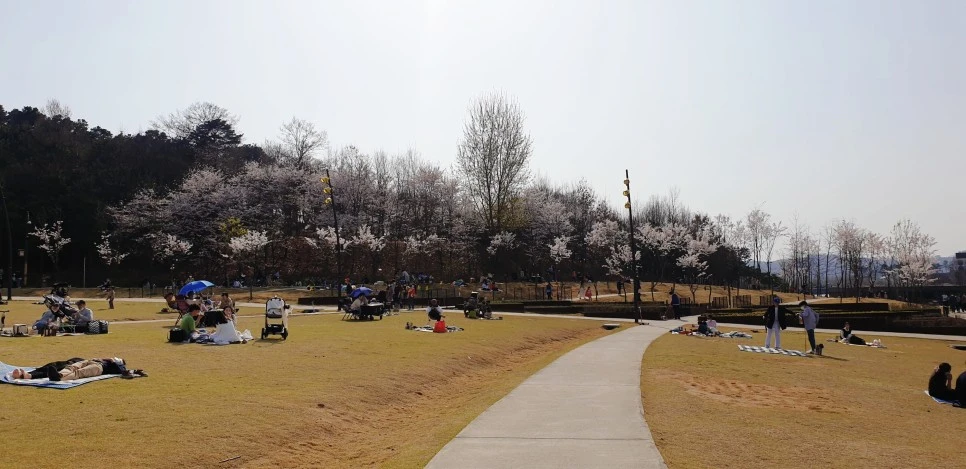 SE-c53f4fb5-ab75-40b5-8c74-7963328ec77d.jpg?type=w966