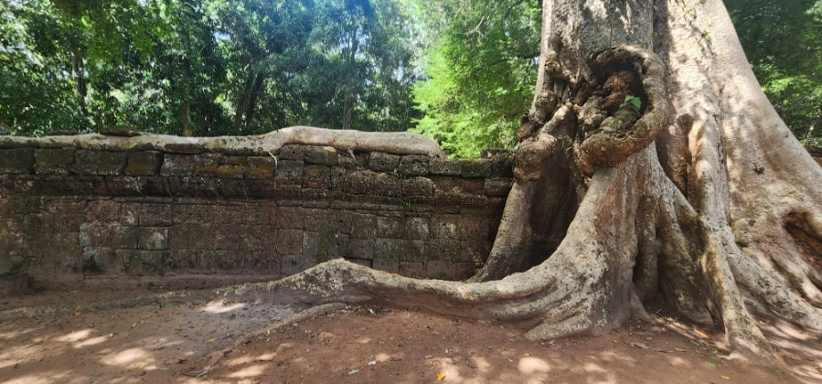 20240618%EF%BC%BF100811.jpg?type=w1