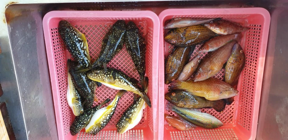 20220527_155501.jpg?type=w1