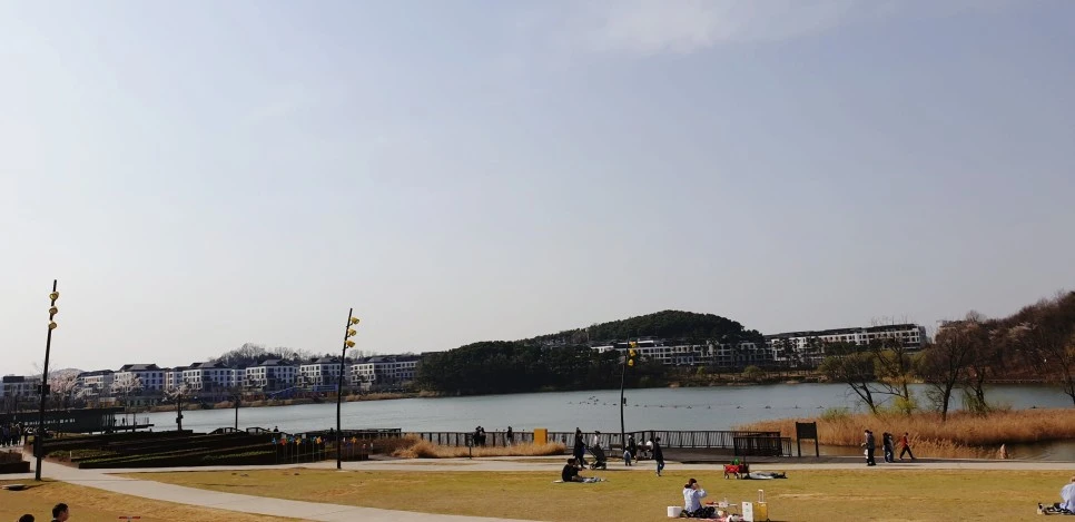 SE-e77c734b-f0eb-4898-b4d4-e27fdc1ed158.jpg?type=w966