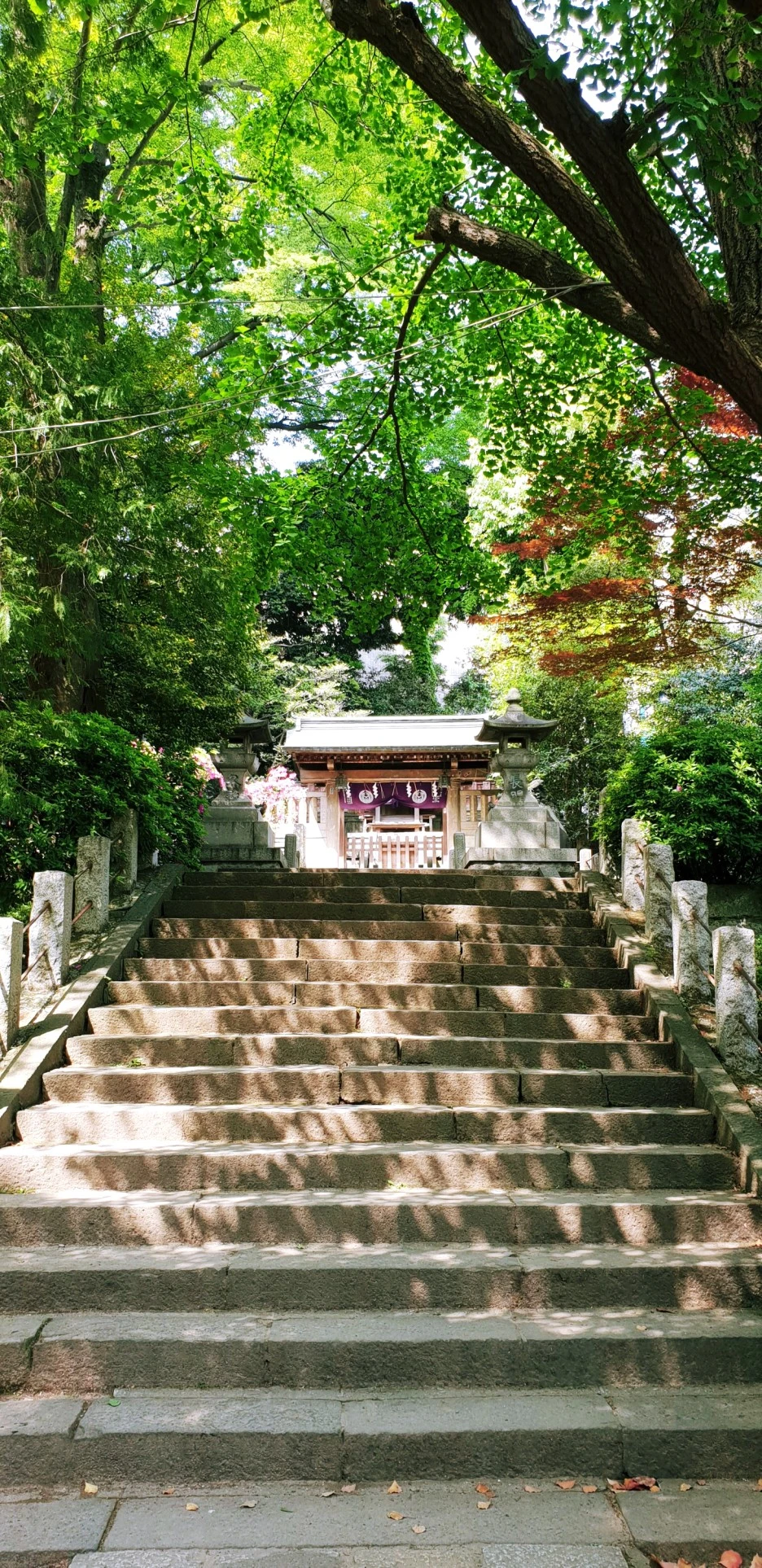 SE-f9a4e6af-8bb7-4fa4-ab87-547512ed42ca.jpg?type=w1