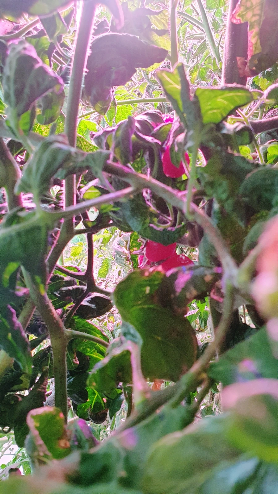 SE-a3ffeb01-35a4-11ed-90ec-3975e9eca4ad.jpg?type=w1