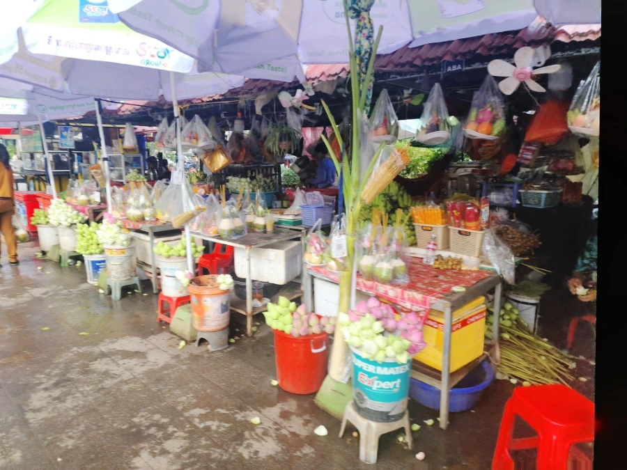 SE-946ee02d-3a7a-11ef-8dbb-6dedf239dbd5.jpg?type=w1