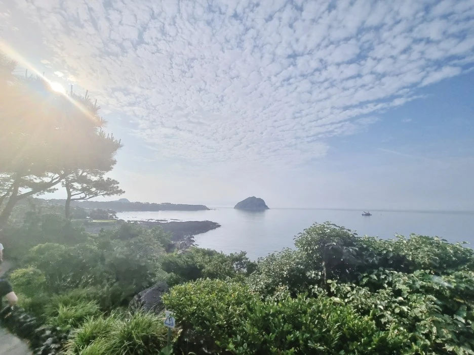 SE-7889d5c2-e4a3-4823-a853-6127066521d4.jpg?type=w1