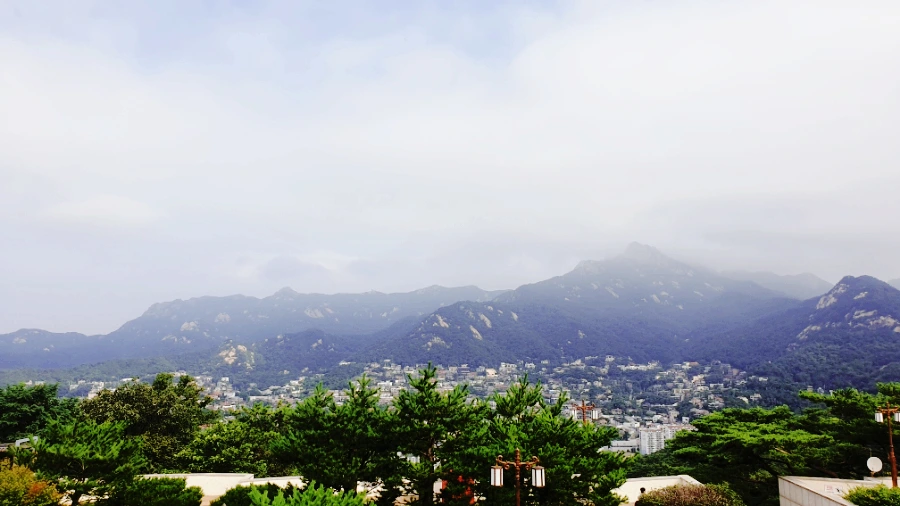 SE-12341693-22b2-11ed-ae47-29007bbfcfbf.jpg?type=w1