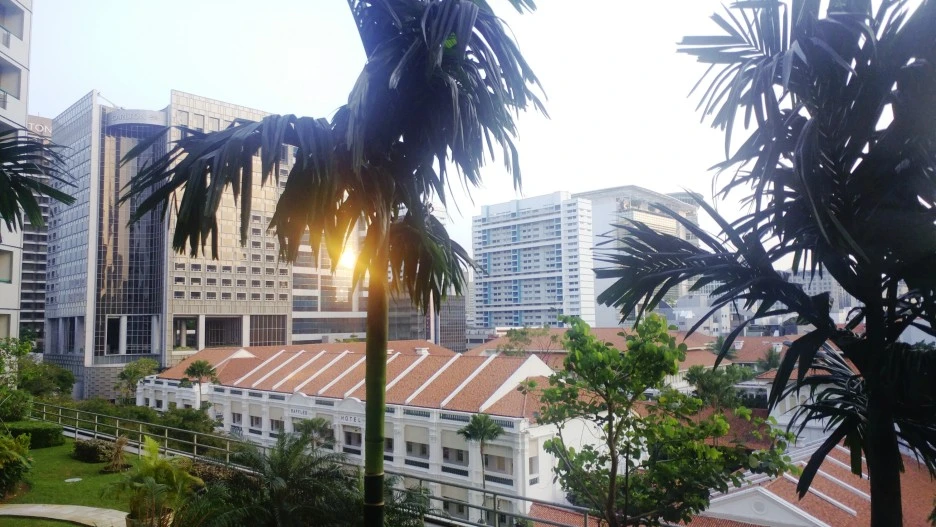 SE-6eb2f2ee-04cc-4c13-a52b-ed9a1e9b7fda.jpg?type=w1