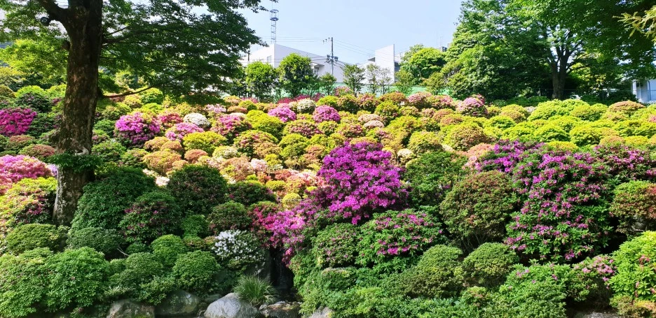 SE-5b7d1dd5-35f0-4c90-9cfc-03e9425972e9.jpg?type=w1