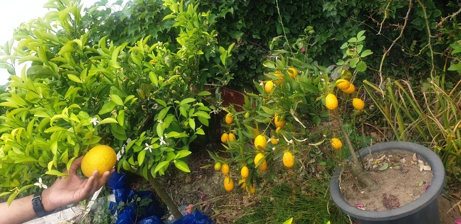 20220526_101228.jpg?type=w1