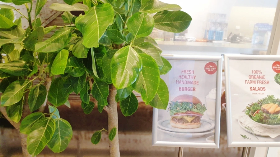 SE-ab65d718-35a4-11ed-90ec-07c5cca18ab8.jpg?type=w1