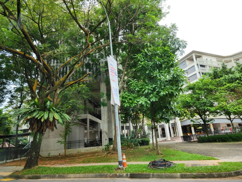 20230207_092511.jpg?type=w966