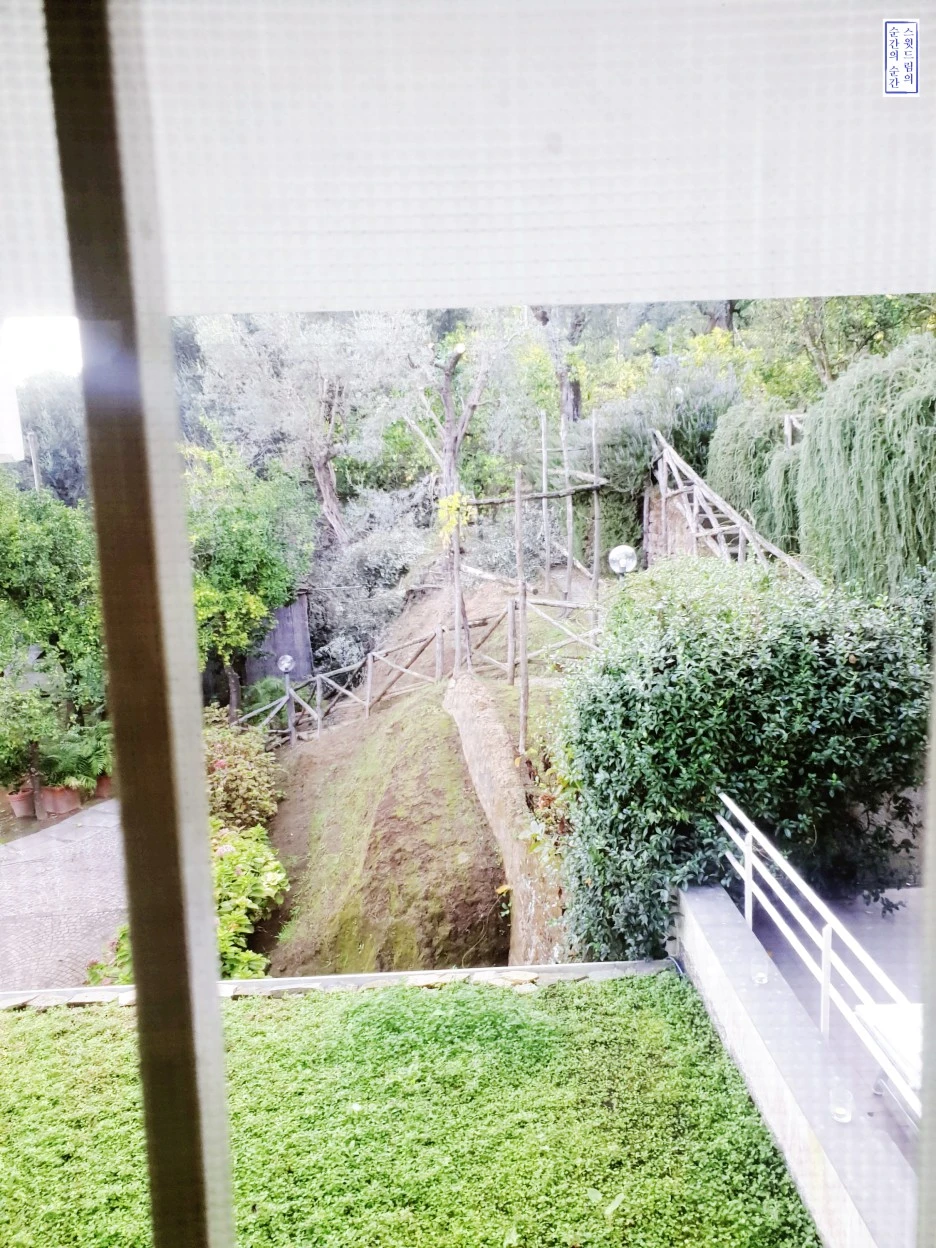 image_2823129111541981886980.jpg?type=w1