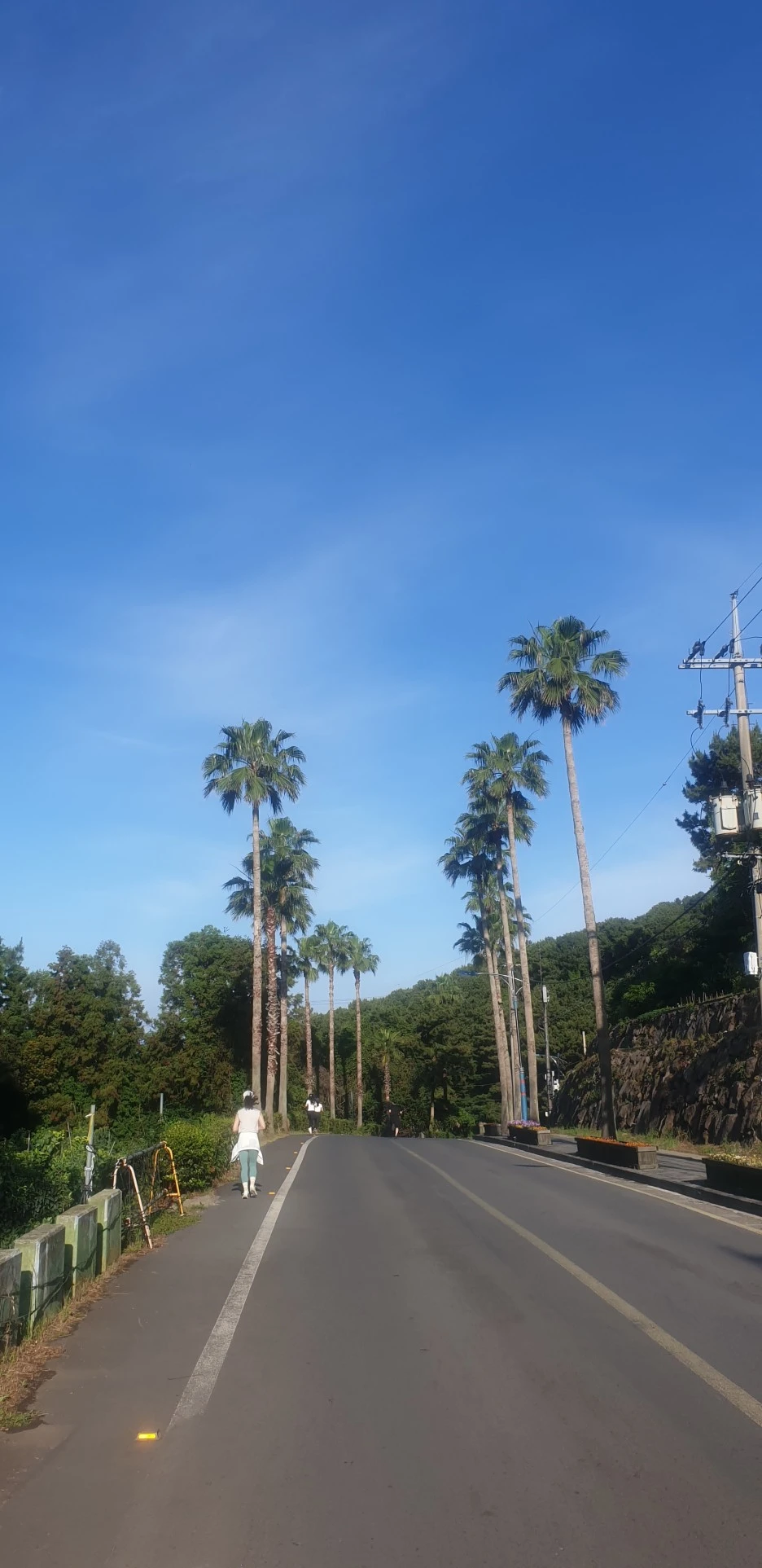 20220531_072546.jpg?type=w1