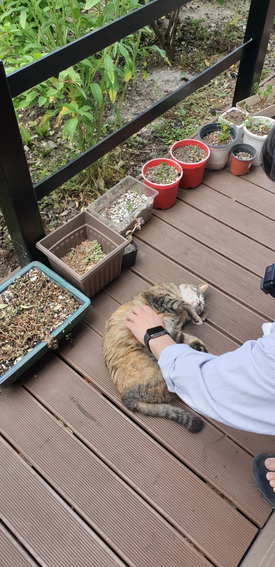 20220526_125320.jpg?type=w1