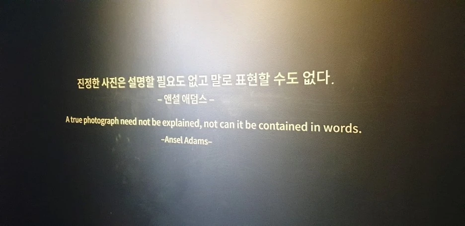 SE-22378e14-2489-40de-a516-16037fa80f85.jpg?type=w1