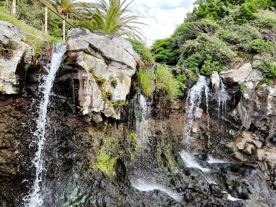 SE-97260596-339e-45ff-8436-cfbd05efac94.jpg?type=w1