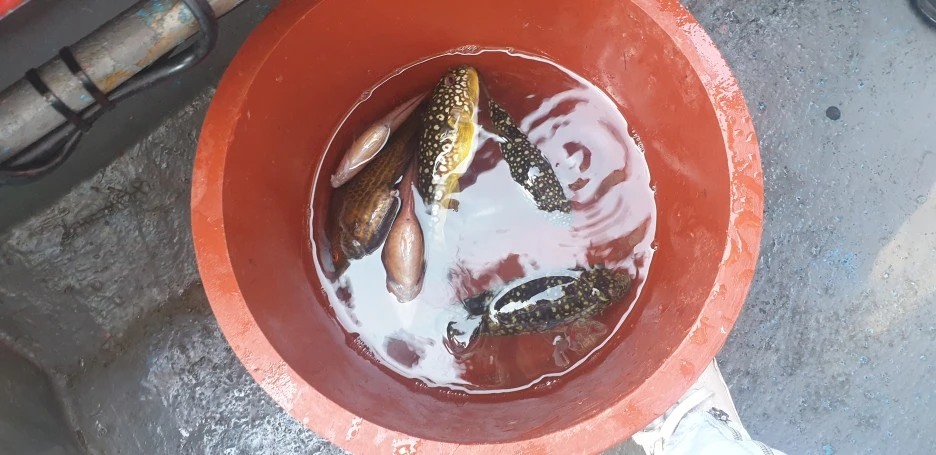 20220527_155026.jpg?type=w1