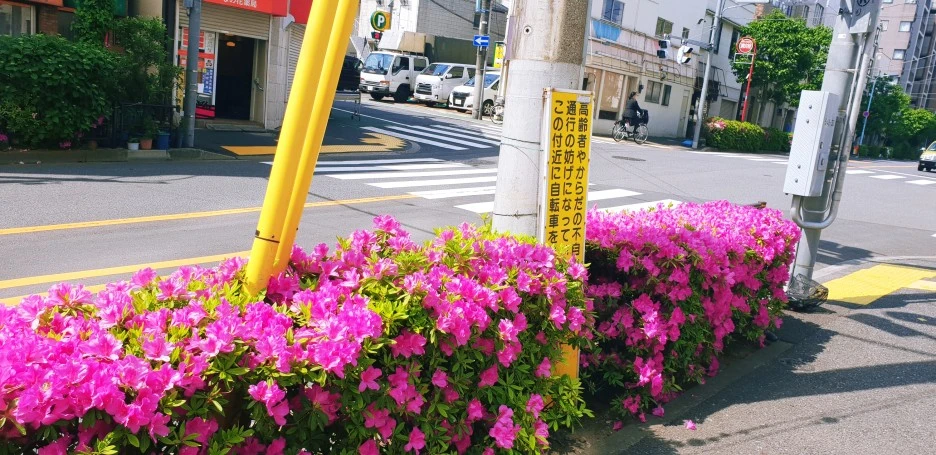 SE-364ff2bf-f2a9-467e-a7c9-5f2231aaf79c.jpg?type=w1