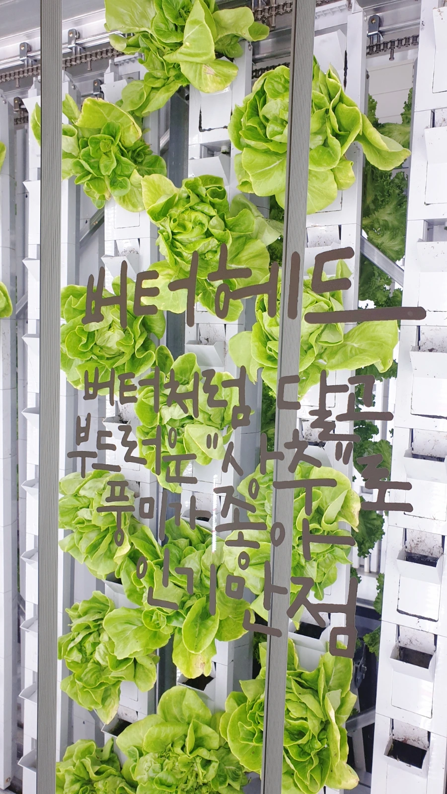 SE-a3ffeb04-35a4-11ed-90ec-754ff7a35611.jpg?type=w1