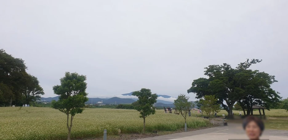 SE-4045e953-2686-4e68-b830-7af03c2ea080.jpg?type=w1