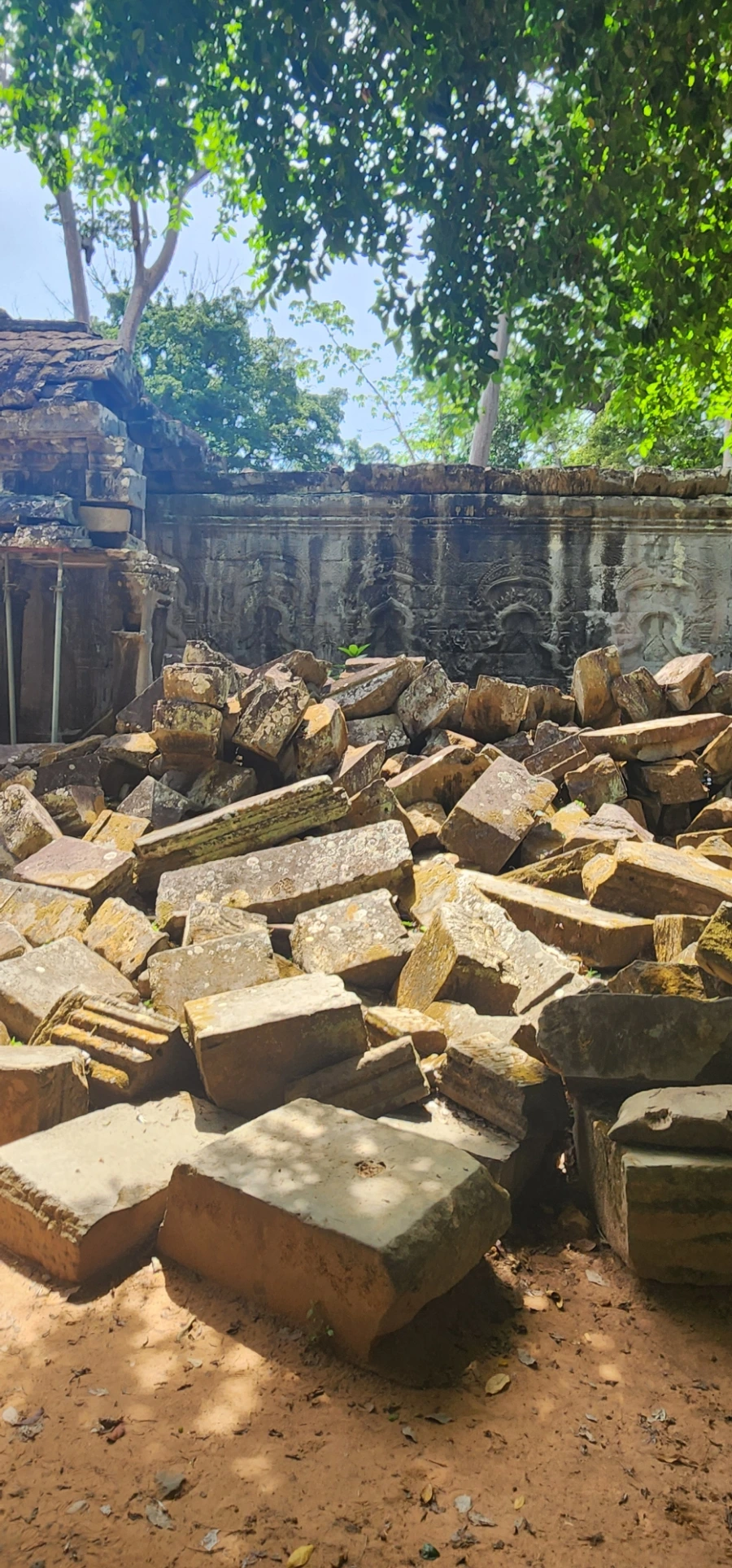 20240618%EF%BC%BF100302.jpg?type=w1