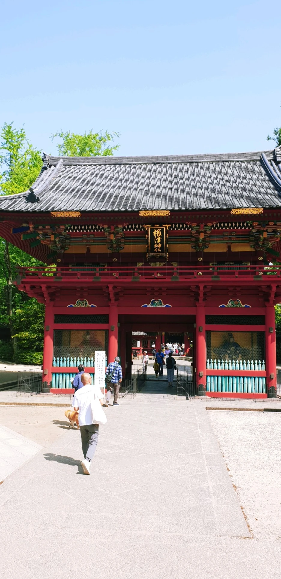 SE-d5f8f851-8ec3-4037-aac5-530e15abede0.jpg?type=w1