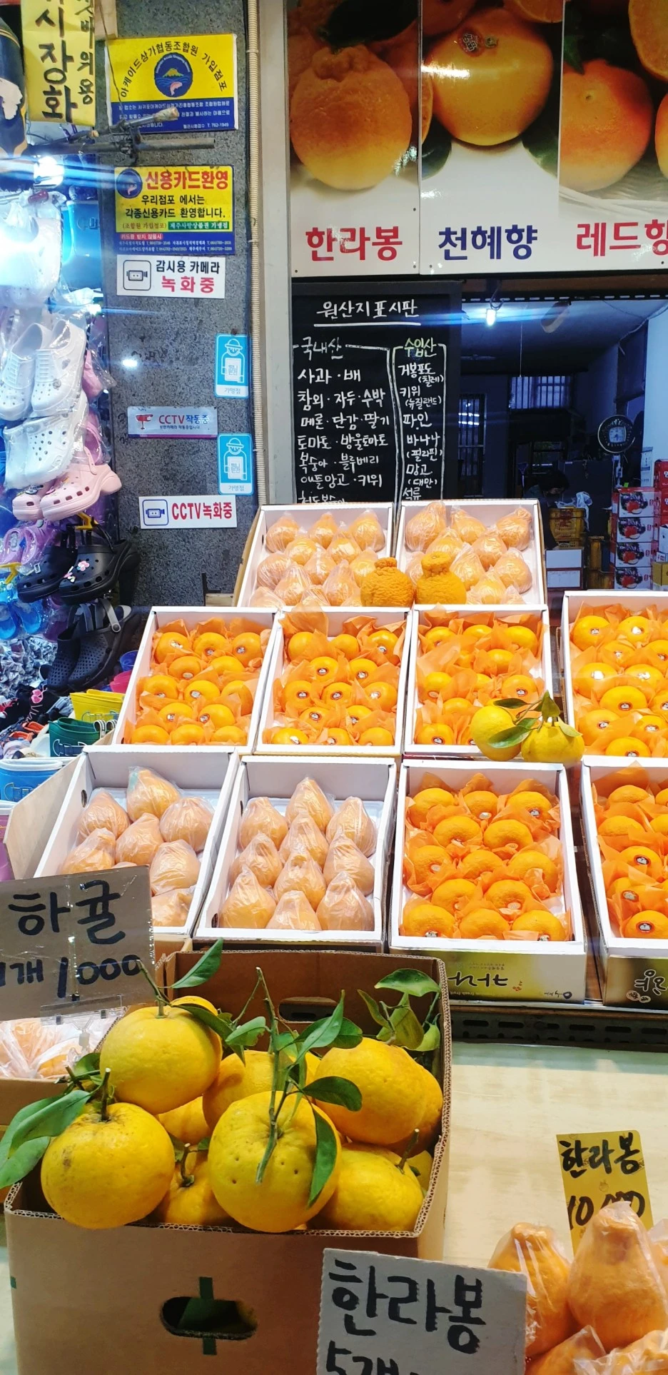 SE-2504f05b-c8ac-4366-99bd-a93d2e7a1285.jpg?type=w1