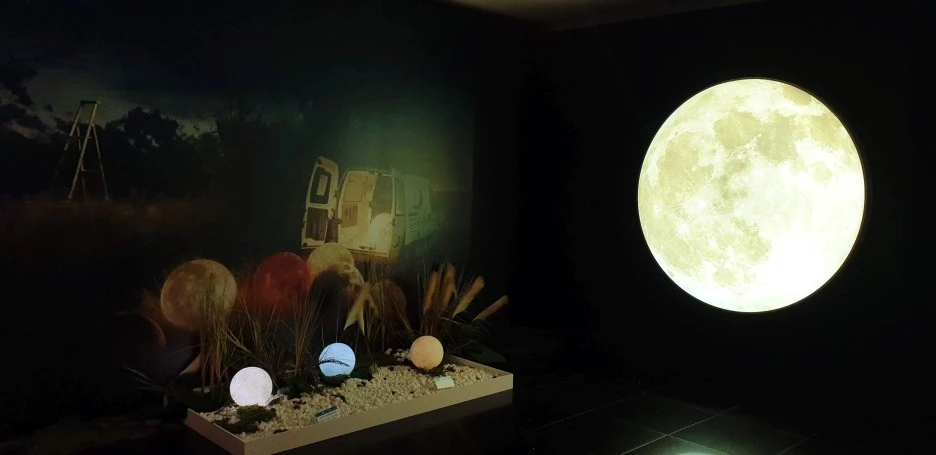 SE-4ed4ab7a-06b0-4276-8f8c-e0bf33f42930.jpg?type=w1