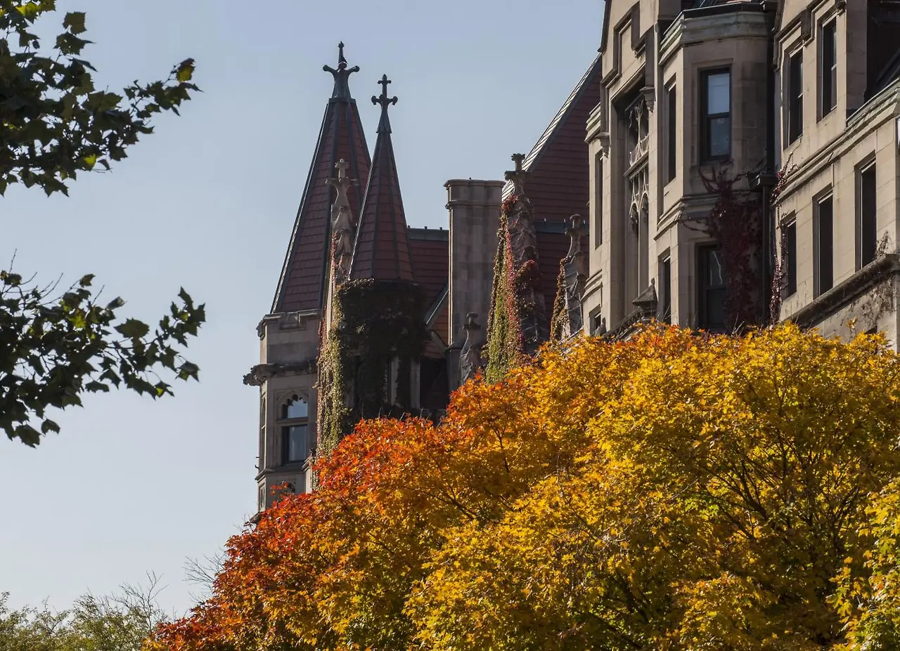 naqkvtzpfe2898820160317.jpg?itok=0g5yKPO7