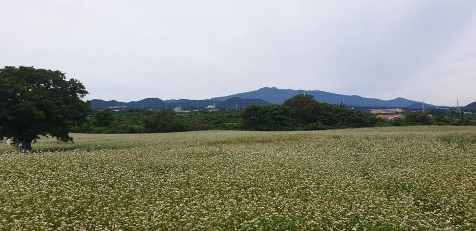 20220526_120216.jpg?type=w1