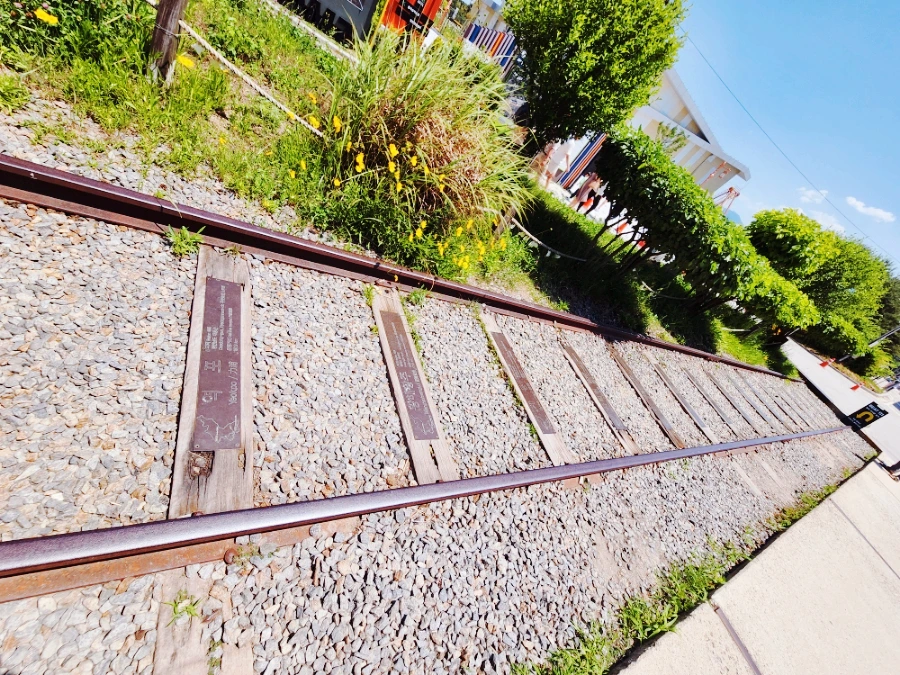 SE-41b9cbe9-0744-11ee-a1f8-43968c72abf7.jpg?type=w1